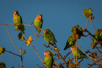 Namibia