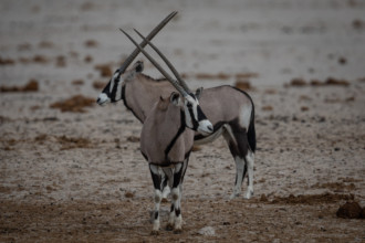 Namibia